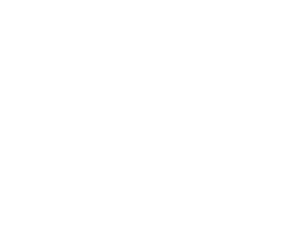 Perro Parchao